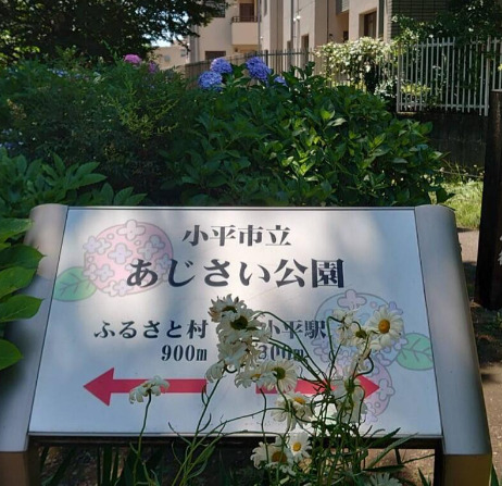 公園　あじさい公園（公園）まで1106m