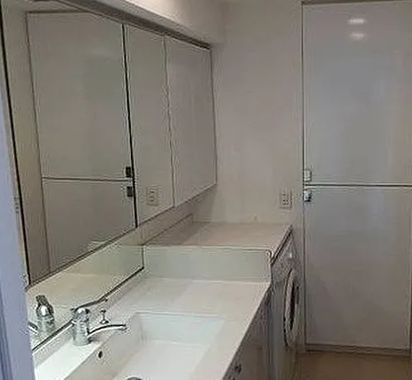 洗面設備　参考写真：別部屋タイプ