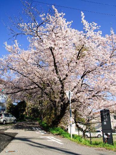 公園　山王公園（公園）まで360m