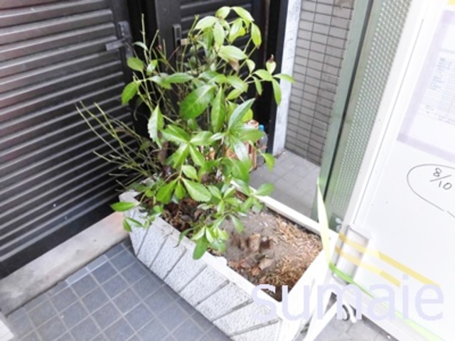 その他　敷地内植栽です☆