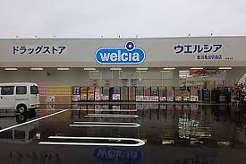 ドラックストア　ウエルシア薬局 亀田店（ドラッグストア）まで747m