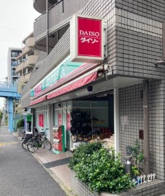 コンビニ　ローソンストア100上石神井店（コンビニ）まで255m