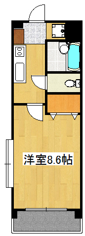 鹿児島市唐湊のマンションの間取り