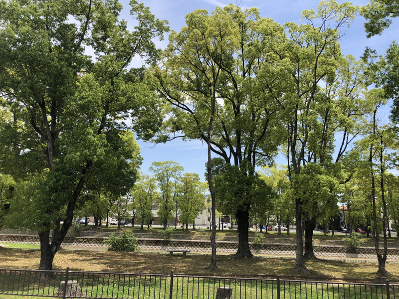 【姫路市飾磨区野田町のマンションの眺望】