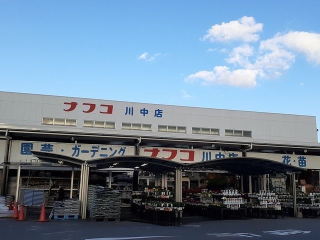 ホームセンター　ナフコ（ホームセンター）まで1000m