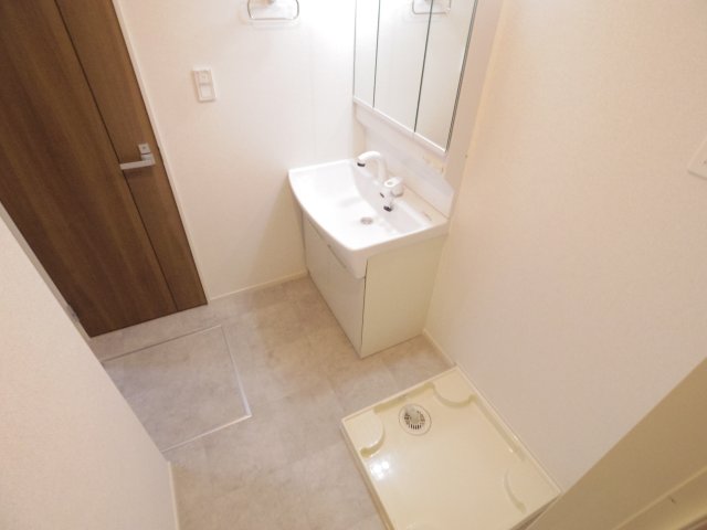 その他　同型逆転タイプ