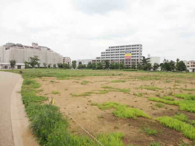 公園　桃井原っぱ公園（公園）まで50m