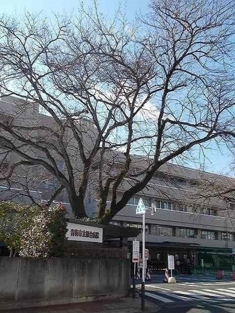 病院　青梅市立総合病院（病院）まで180m