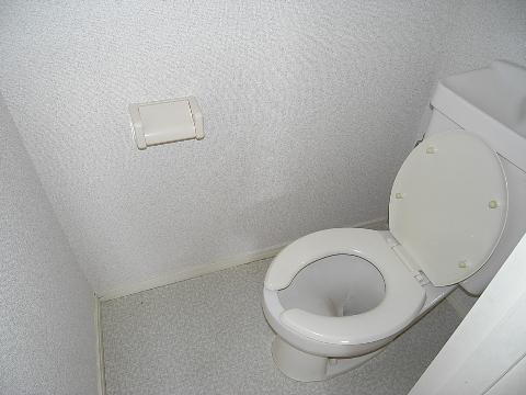 【岩田ハイツIのトイレ】
