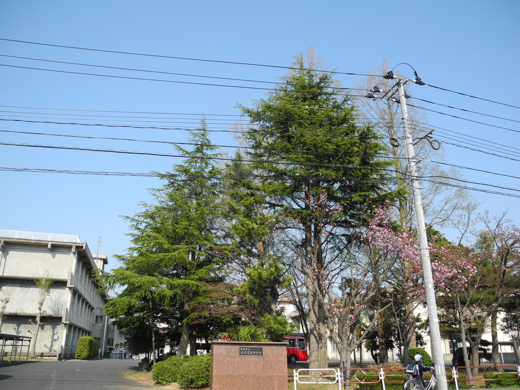 【新潟市秋葉区金沢町のアパートの中学校】