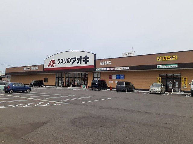 【高岡市内免のアパートのドラックストア】