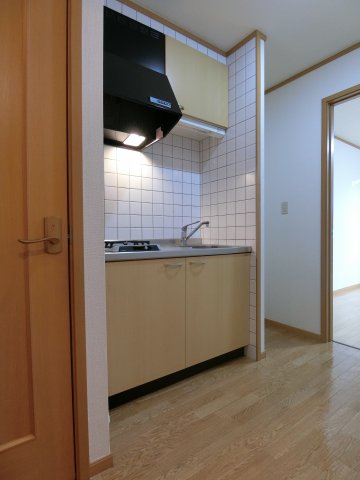 キッチン　203の写真（間取同タイプ：イメージ）