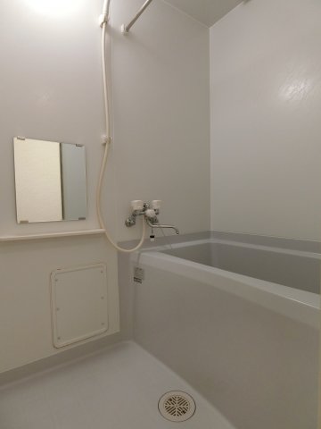 バス・シャワールーム　203の写真（間取同タイプ：イメージ）