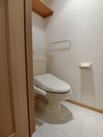 トイレ　203の写真（間取同タイプ：イメージ）