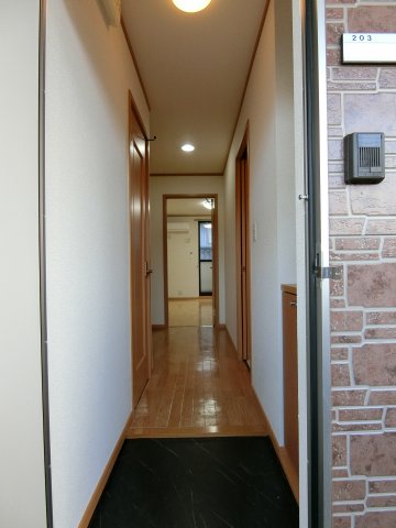 玄関　203の写真（間取同タイプ：イメージ）