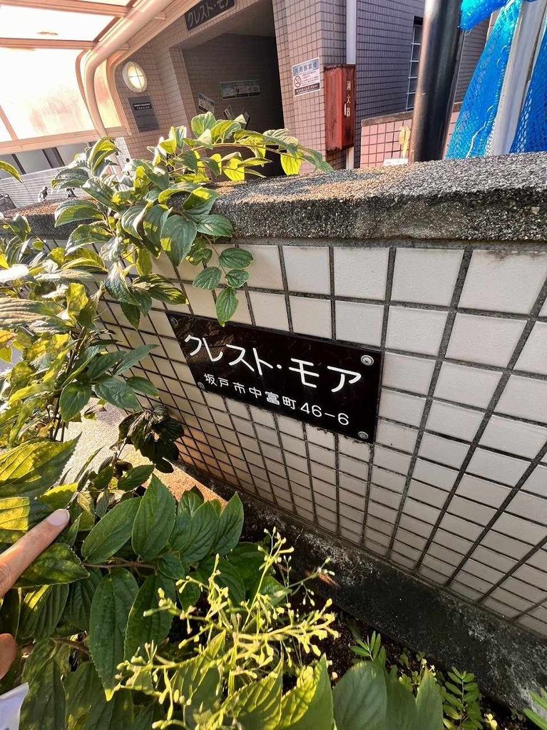 クレスト・モア_その他_5