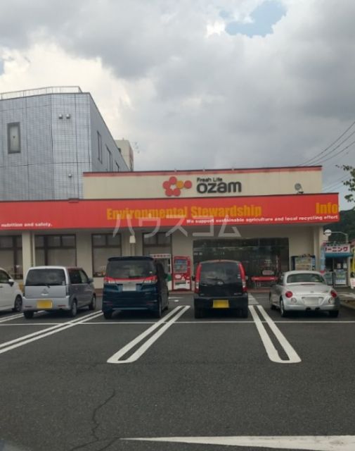 スーパー　スーパーオザム友田店（スーパー）まで1147m
