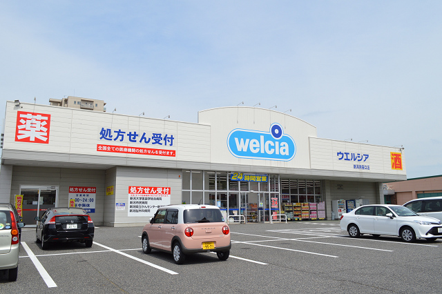 ドラックストア　ウエルシア薬局南笹口店（ドラッグストア）まで555m