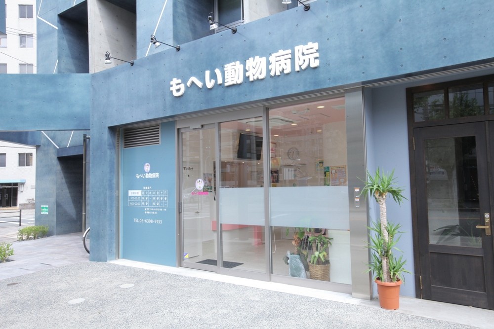 病院　もへい動物病院（病院）まで1215m