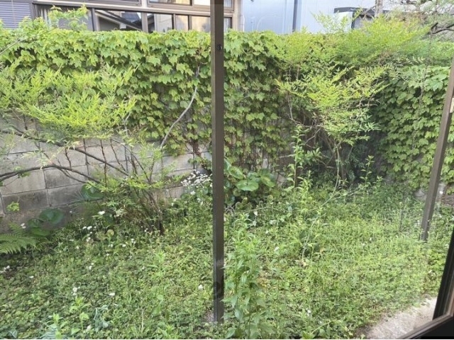 庭　庭