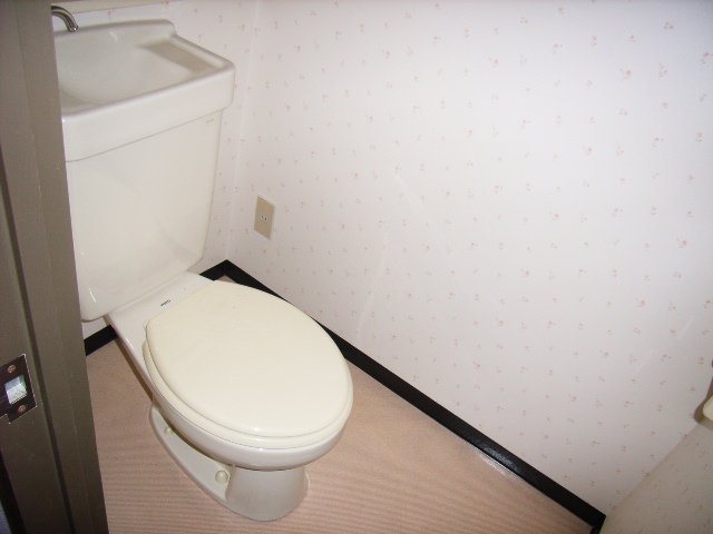 トイレ　同物件別号室のものです。