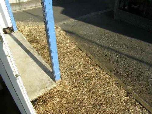 バルコニー　※写真は別室です