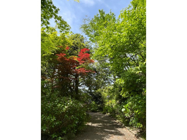 公園　常盤町緑地（公園）まで649m