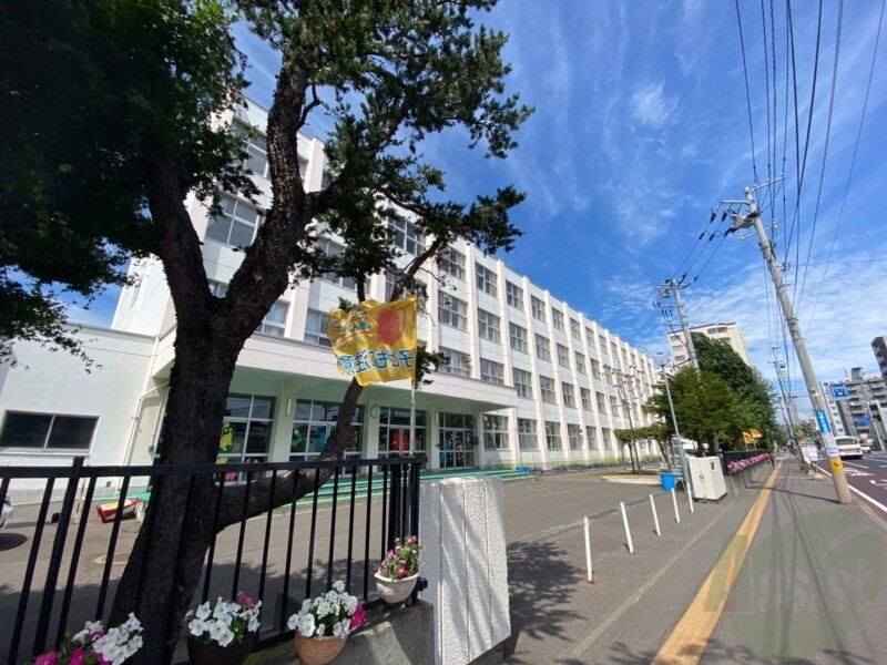 小学校　札幌市立白楊小学校（小学校）まで453m