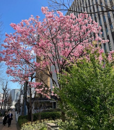 公園　築地川千代橋公園（公園）まで299m