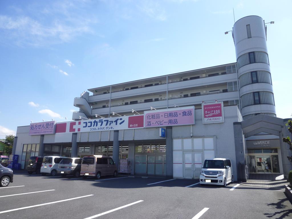 ドラックストア　ココカラファイン東洋緑ヶ丘薬局（ドラッグストア）まで797m