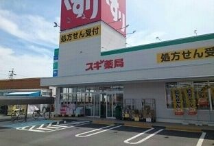 【豊川市御津町下佐脇のアパートのドラックストア】