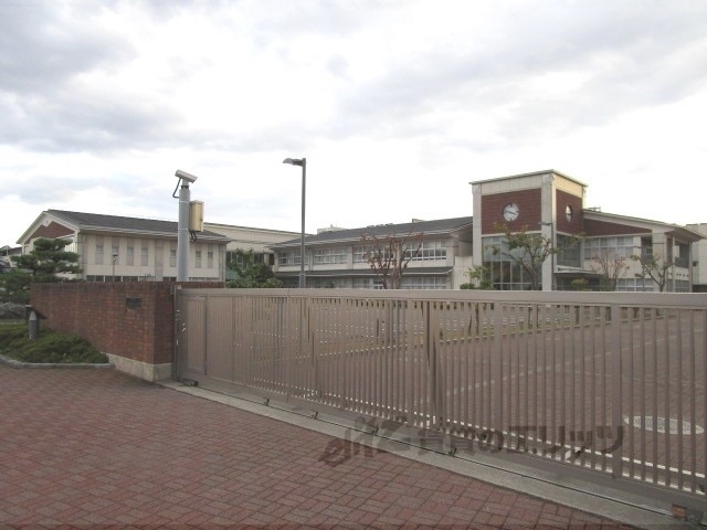 中学校　日野中学校（中学校）まで300m