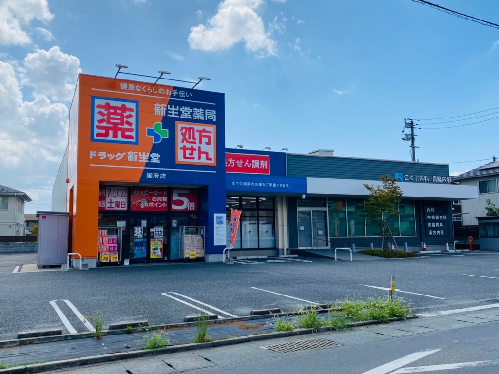 ドラックストア　ドラッグ新生堂 国府店（ドラッグストア）まで635m