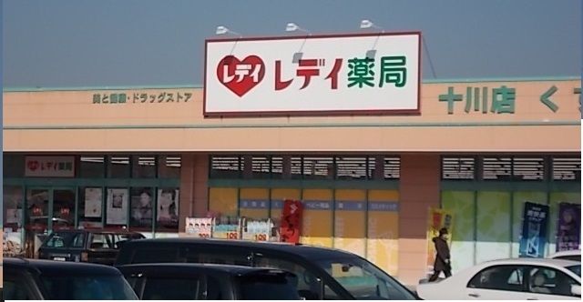 ドラックストア　レディ薬局十川店さん（ドラッグストア）まで450m