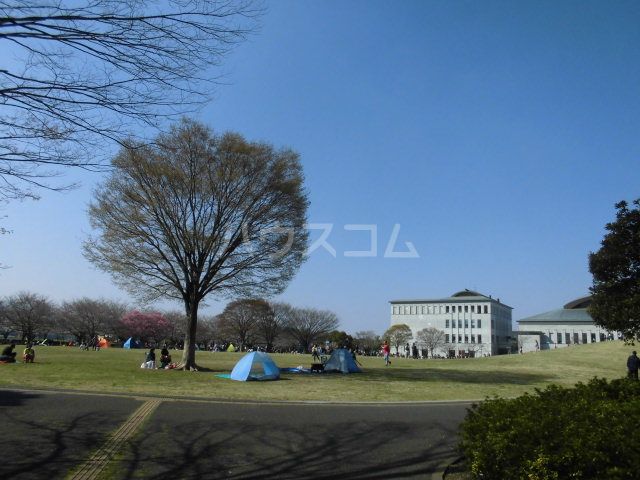公園　さむかわ中央公園（公園）まで1036m