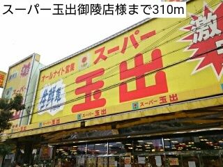 スーパー　スーパー玉出御陵店様（スーパー）まで310m