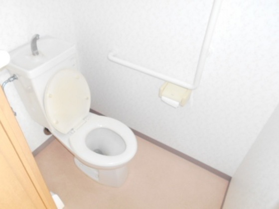 トイレ　※他号室の写真です