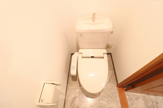 トイレ　※別号室の写真です