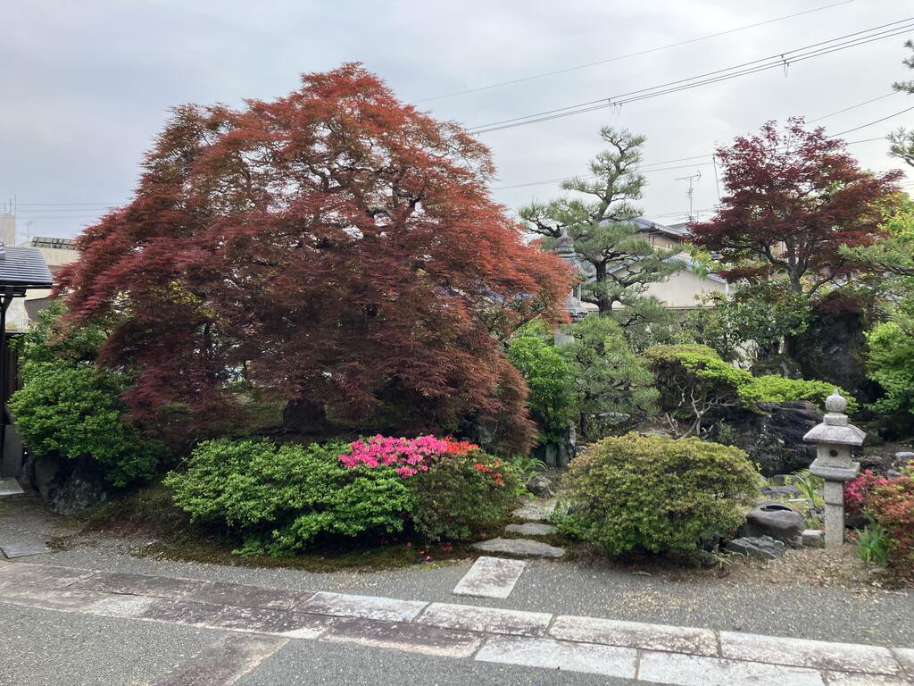 山田出口町貸家東側のその他写真