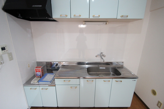 キッチン　※別部屋の写真です