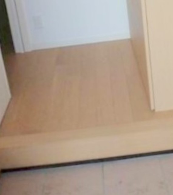 玄関　同仕様タイプ