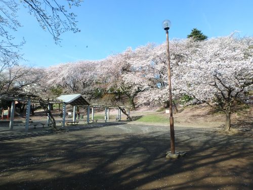 公園　梶ケ谷第一公園（公園）まで447m