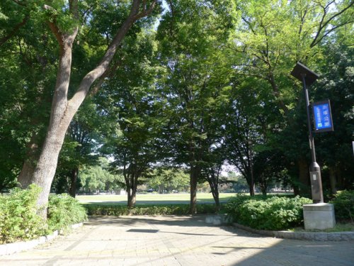 公園　赤塚公園（公園）まで718m