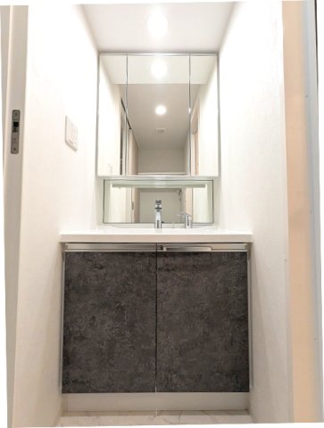 洗面設備　トイレと独立した脱衣洗面室、三面鏡・ハンドシャワー付洗面台、