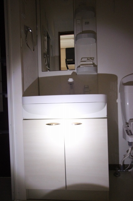 洗面設備　同物件別号室です。