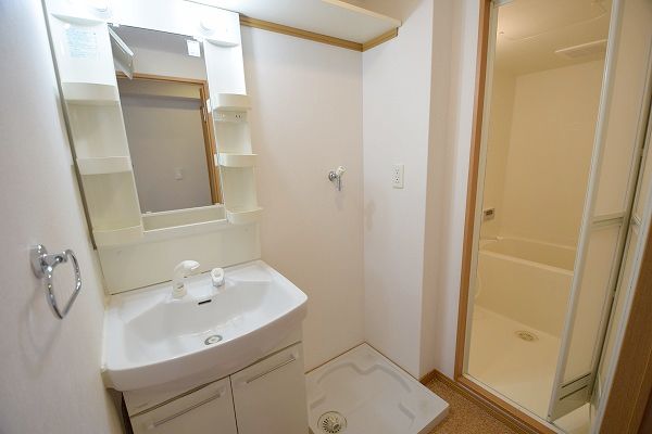 洗面設備　102号室の写真です