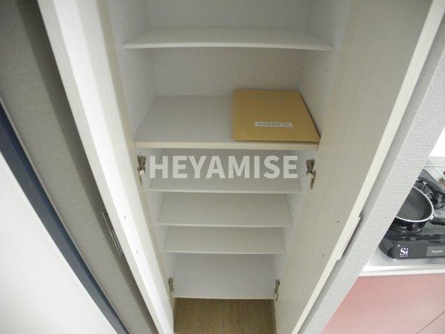 玄関　※同間取りの別の階のモデルルームの画像です※現況を優先します