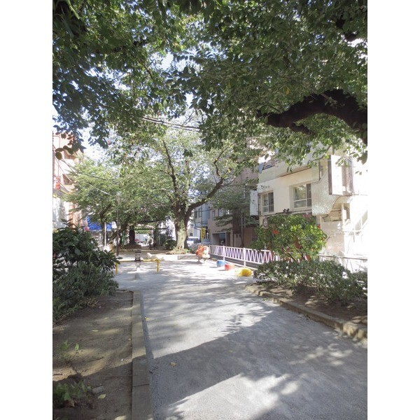 公園　呑川駒沢支流緑道（公園）まで624m