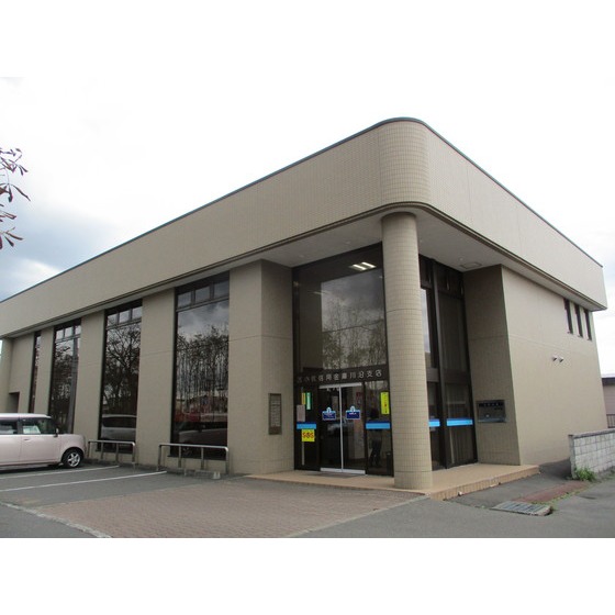 銀行　苫小牧信用金庫川沿支店（銀行）まで784m