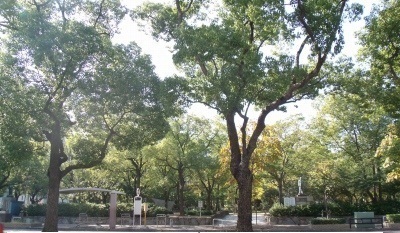 公園　高松中央公園（公園）まで1000m